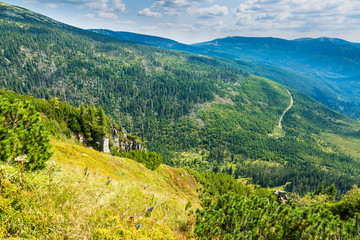 Scenic sight of czech giant mountains valley and spruce forest at summer
