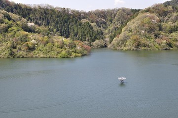 Fototapeta na wymiar 新緑の城山湖