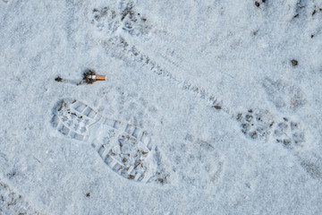 Menschlicher Schuhabdruck und Pfotenabdruck im Schnee mit Zigarettenkippe