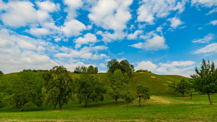 Ein Hügel mit bäumen und Himmel mit Wolken