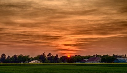 Rural sunset over a green meadow