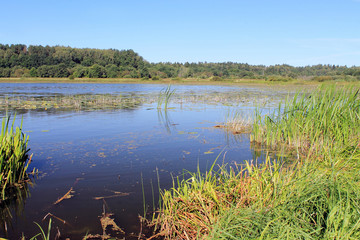 Beach on the lake 