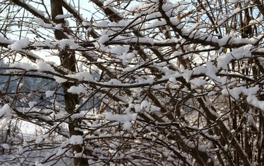 Wintertraum, Landschaft im Traum