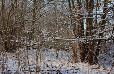 Wintertraum, Landschaft im Traum
