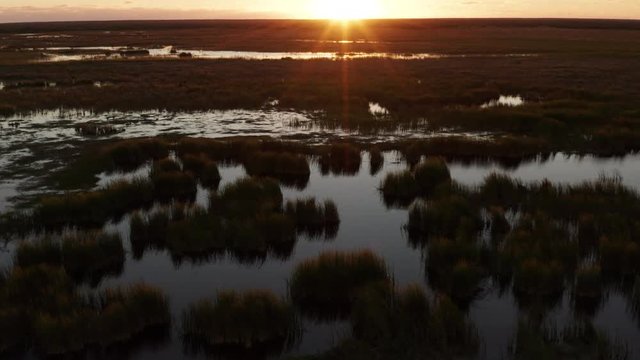 Aerial moving up over flordia everglades at sunset
