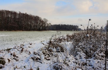 Wintertraum, Landschaft im Traum