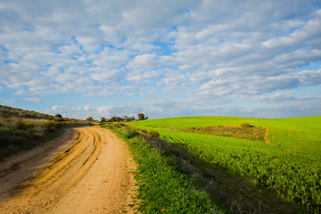 Fototapeta na wymiar Open field with blue cloudy sky background.
