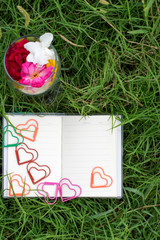 Natural backgrounds and books for sayings with roses, hearts, red ribbons, Valentine's Day concepts