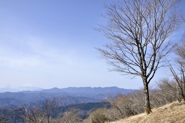 鷹ノ巣山の木立ちと富士山と大菩薩連嶺
