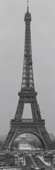 Fototapeta premium The panoramic view of the Eiffel Tower from the Trocadero. Black and white photography. France. Paris.