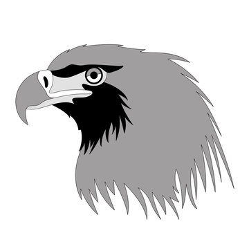  eagle head , vector illustration, flat style, profile