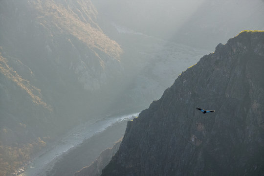 Condor flying in the Andes