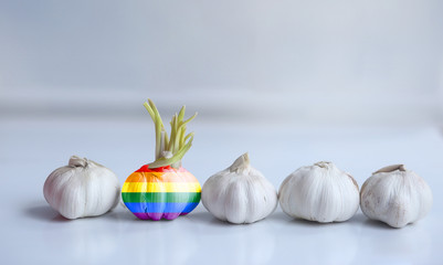 Rainbow flag on garlic with shoots. Different from the rest. Symbol of sexual minorities and tolerance.