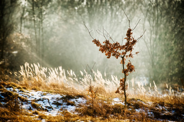 Behind the village
