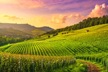 Zelfklevend Fotobehang Wijngaard Langhe wijngaarden bekijken, Barolo en La Morra, Piemonte, Italië Europa.