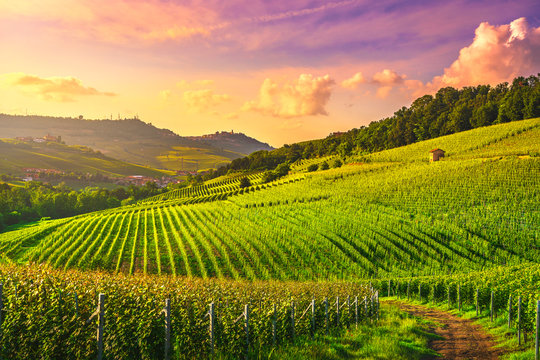 Langhe vineyards view, Barolo and La Morra, Piedmont, Italy Europe.