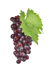 Fototapeta premium Red grapes isolated on white background