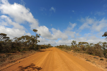 Fototapeta premium Dirt in the outback, Western Australia, Australia