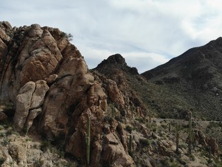 Mountain View for Saguaro National Park