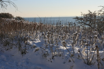 K&uuml;ste im Winter