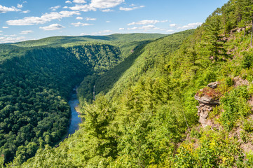 Leonard Harrison State Park is Home to the "Grand Canyon" of Pennsylvania