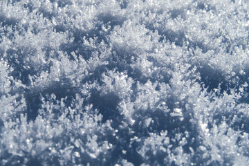 Obraz premium Fresh snow crystals in the nature of Switzerland