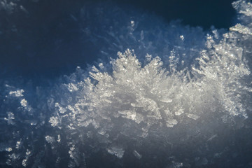 Fototapeta na wymiar Fresh snow crystals in the nature of Switzerland