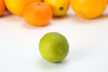 green lemon on the background of different citrus fruits on white background