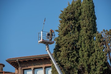 tree pruning