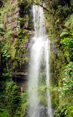 Obraz premium La Chorrera - waterfall in forest