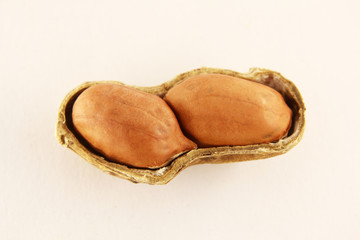 Peanut in closeup, isolated on white background