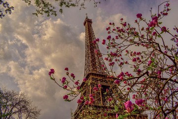 torre eifell © alejandro