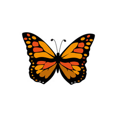 Fototapeta na wymiar Vector Monarch Butterfly Illustration Isolated On White Background - Vector