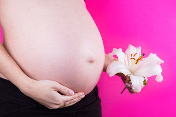 Pregnant woman is holding white lily in her hand near belly on pink background.