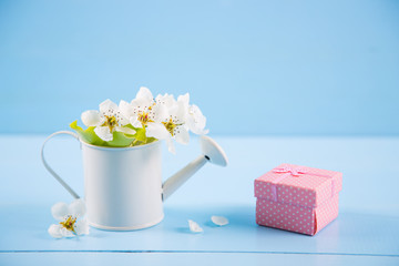 Little white watering can with spring flowers and pink gift box on blue wooden background.