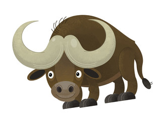 cartoon scene with happy buffalo on white background - illustration for children
