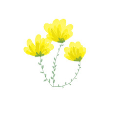 colorful flower illustrations