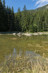 Summer landscape of  Saladzha Smolyan lake at Rhodope Mountains, Smolyan Region, Bulgaria