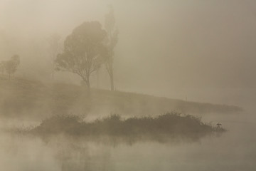 Morning fog at Bundamba Dalys Lagoon, Queensland