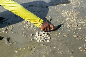 marisqueiras de Salinas de Margarida