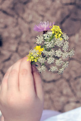 Little girl holding a flower, with ladybug perched on it.