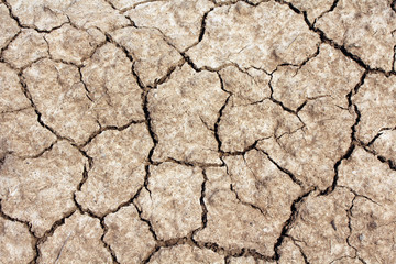 Dry land. Dry cracked earth background, clay desert texture