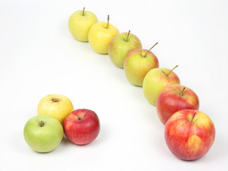 fresh different apples on white background