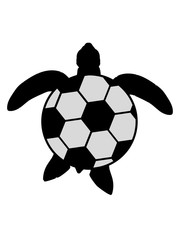 Obraz premium gra w piłkę nożną sport klub piłka kopacz żółw morski sylwetka zarys cień żółw wodny żółw wodny pływanie płetwy morskie clipart projektowanie logo