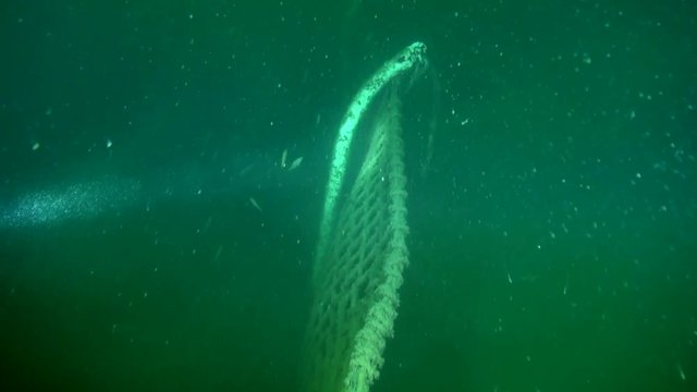 HMCS Annapolis port side rail in murky water