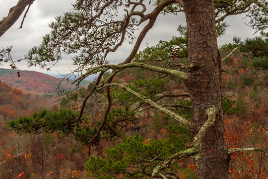 Petit Jean State Park