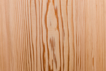 木根がきれいなスギ板