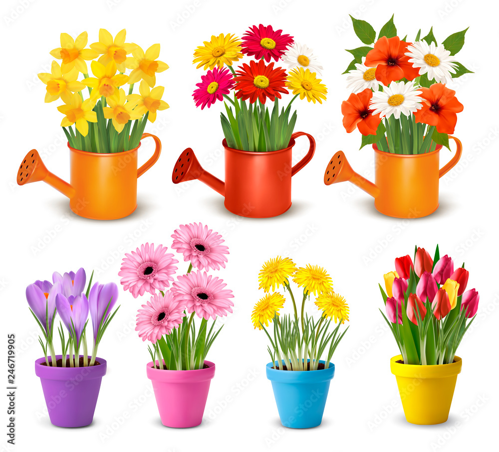 Poster big collection of spring and summer colorful flowers in pots. vector