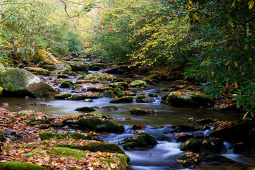 Stream in the Smokies in golden colors of fall.