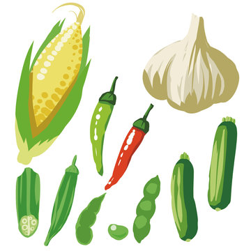 夏野菜 イラストセット2 -Summer vegetable illustration set2